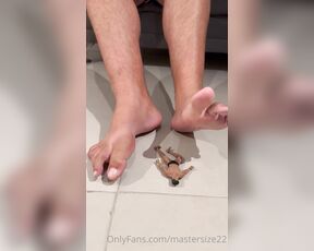 Master Size 22 aka mastersize22 OnlyFans - It’s so fun to play with my tiny slave between and under my feet! Most