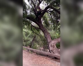 Pierce Paris aka pierceparisxxx OnlyFans - Ruckus climbing a tree to set an anchor point for my cable cam system