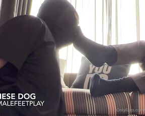 Asian Male Feet aka malefeetplaysg OnlyFans - Come here dog get your treat