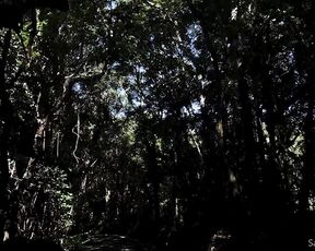 Sam Brownell aka sambrownell OnlyFans Video - Rainforest Romp I was visiting a secluded spot _ Kings Beach, where the rainforest collides with