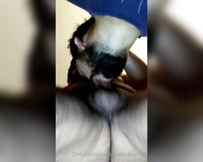 Palermohot aka palermohot OnlyFans Video - Full video with versrugbycaba and yayo669 we had a blast sucking cock, eating ass, and fucking