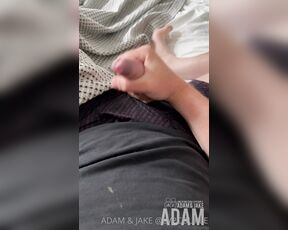 ADAM AND JAKE aka lvpcouple OnlyFans Video - 06-25-2022 - I was feeling extra chunky playing with my dick through the fly of my new boxies,