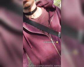 Cornelio_sama aka cornelio_sama OnlyFans Video - 05-01-2023 - Went freeballing in ripped jeans at the park and got followed by a random