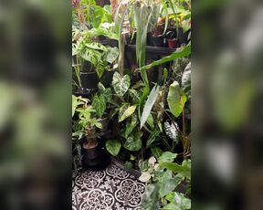 TRO onlyPlants aka theofficialtro OnlyFans Video - 04-05-2024 - An update