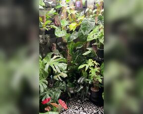 TRO onlyPlants aka theofficialtro OnlyFans Video - 04-05-2024 - An update