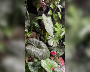 TRO onlyPlants aka theofficialtro OnlyFans Video - 04-05-2024 - An update