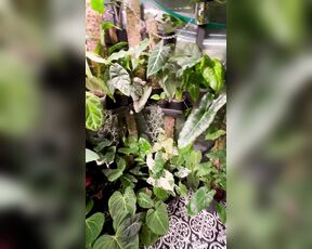 TRO onlyPlants aka theofficialtro OnlyFans Video - 03-19-2024 - Omg its getting so tight