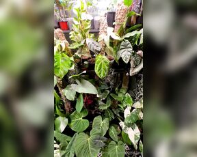 TRO onlyPlants aka theofficialtro OnlyFans Video - 03-19-2024 - Omg its getting so tight