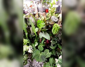 TRO onlyPlants aka theofficialtro OnlyFans Video - 03-19-2024 - Omg its getting so tight