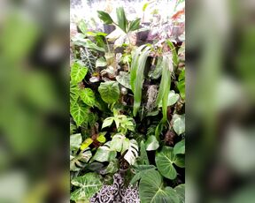 TRO onlyPlants aka theofficialtro OnlyFans Video - 03-19-2024 - Omg its getting so tight