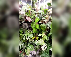 TRO onlyPlants aka theofficialtro OnlyFans Video - 03-19-2024 - Omg its getting so tight