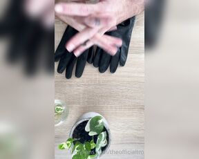 TRO onlyPlants aka theofficialtro OnlyFans Video - 05-08-2021 - Some ASMR glove love Who here is a fan of gloves