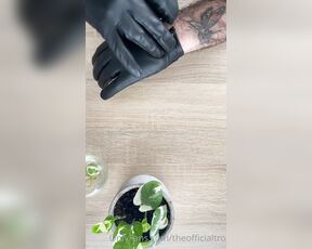 TRO onlyPlants aka theofficialtro OnlyFans Video - 05-08-2021 - Some ASMR glove love Who here is a fan of gloves