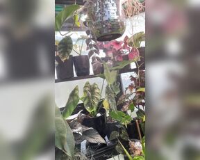 TRO onlyPlants aka theofficialtro OnlyFans Video - 01-10-2024 - Time for a quick little greenhouse tour