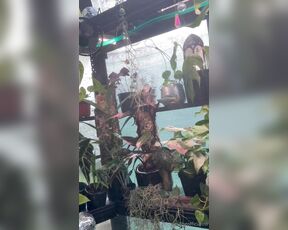 TRO onlyPlants aka theofficialtro OnlyFans Video - 01-10-2024 - Time for a quick little greenhouse tour