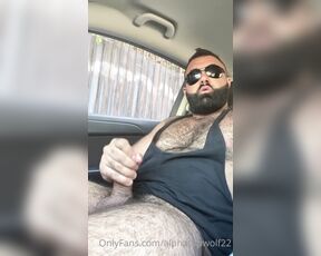 Persian Alpha Wolf aka alphatopwolf22 OnlyFans Video - 07-14-2020 - Left the beach after a few drinks and horny and my best friend decided to gimme