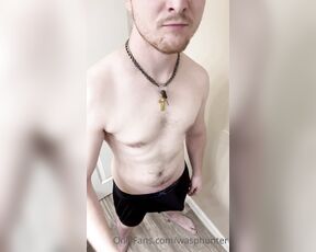 Wasphunter aka wasphunter - 06-21-2021 OnlyFans Video - A little early Monday morning verbal tease from misterwasp