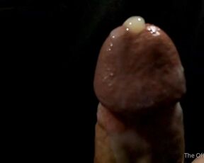 Horse Cock aka horse_cock - 08-19-2021 OnlyFans Video - Whos hungry Start your day with some nice juicy cock