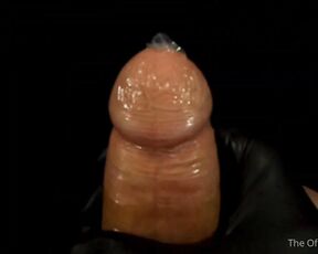 Horse Cock aka horse_cock - 11-17-2021 OnlyFans Video - There is something so hot about a cock wrapped in rubber