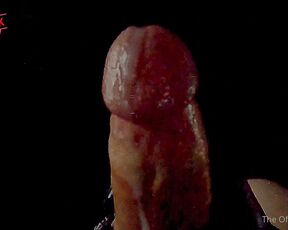 Horse Cock aka horse_cock - 05-10-2022 OnlyFans Video - This entire video is essentially cum