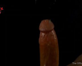 Horse Cock aka horse_cock - 06-02-2022 OnlyFans Video - I know youve been waiting for this warm wet cumshot for days