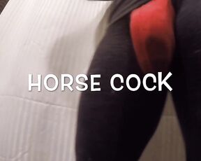 Horse Cock aka horse_cock - 09-20-2019 OnlyFans Video - New Horse Cock Intro