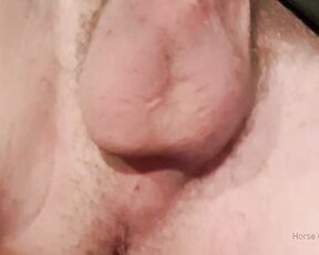 Horse Cock aka horse_cock - 09-01-2019 OnlyFans Video - It was one of those mornings