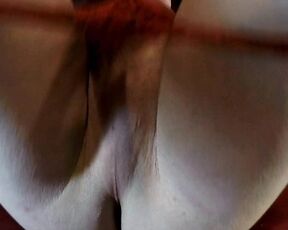 Horse Cock aka horse_cock - 11-27-2019 OnlyFans Video - SORRY Had to put this video back up