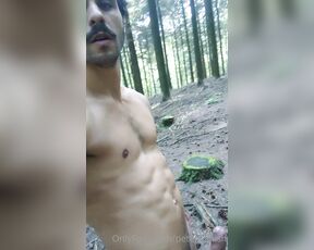 Peterpanish aka peterpanish - 01-04-2022 OnlyFans Video - Hike in Heidelberg _ state 2