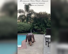 Jodymuscle aka jodymuscle - 11-17-2020 OnlyFans Video - A day at the pool