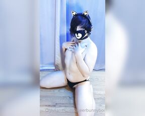 Queerbunnybabe aka queerbunnybabe - 02-11-2021 OnlyFans Video - So I put on the kitty ears This is the kind of stuff that would be