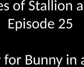 Stallion and Bunny aka stallion_bunny - 12-11-2019 OnlyFans Video - EPISODE 25 _ CUMSHOWER FOR BUNNY IN A BUNNY SUIT 353 2