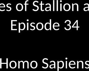 Stallion and Bunny aka stallion_bunny - 01-03-2020 OnlyFans Video - EPISODE 34 _ HOMO SAPIENS 815 2