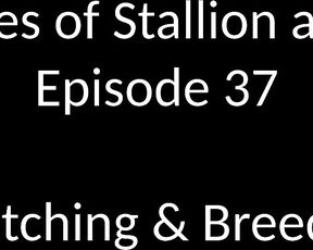 Stallion and Bunny aka stallion_bunny - 01-11-2020 OnlyFans Video - EPISODE 37 _ STRETCHING amp BREEDING 1434 2