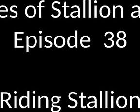 Stallion and Bunny aka stallion_bunny - 01-16-2020 OnlyFans Video - EPISODE 38 _ RIDING STALLION 930 2