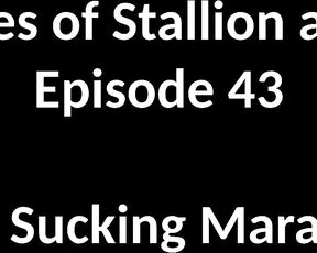 Stallion and Bunny aka stallion_bunny - 02-04-2020 OnlyFans Video - EPISODE 43 _ COCK SUCKING MARATHON 757 2