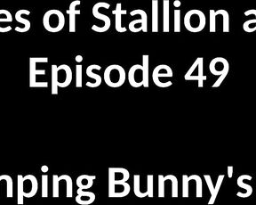 Stallion and Bunny aka stallion_bunny - 02-28-2020 OnlyFans Video - EPISODE 49 _ PUMPING BUNNYS ASS 1023 2