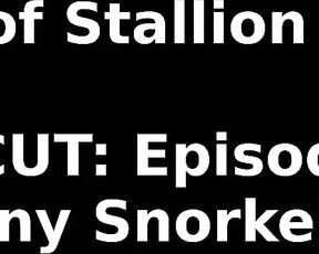 Stallion and Bunny aka stallion_bunny - 04-11-2021 OnlyFans Video - FULL CUT EPISODE 11, HORNY SNORKELERS13051080p