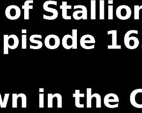 Stallion and Bunny aka stallion_bunny - 02-01-2022 OnlyFans Video - EPISODE 163  DAWN IN THE CITY10472