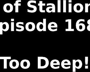 Stallion and Bunny aka stallion_bunny - 04-22-2022 OnlyFans Video - EPISODE 168  TOO DEEP24542