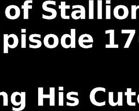 Stallion and Bunny aka stallion_bunny - 07-31-2022 OnlyFans Video - EPISODE 176  TRAINING HIS CUTE HOLE17372