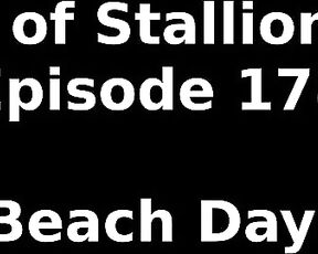 Stallion and Bunny aka stallion_bunny - 08-31-2022 OnlyFans Video - EPISODE 178  BEACH DAY20582