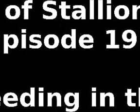 Stallion and Bunny aka stallion_bunny - 04-01-2023 OnlyFans Video - EPISODE 192  HOLY BREEDING IN THE ATTIC19301080p springfarmwork made us so horny the other day