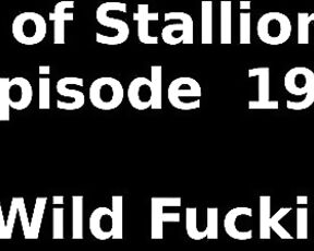 Stallion and Bunny aka stallion_bunny - 06-19-2023 OnlyFans Video - EPISODE 197  A WILD FUCKING17422