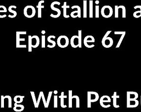 Stallion and Bunny aka stallion_bunny - 05-11-2020 OnlyFans Video - EPISODE 67  PLAYING WITH PET BUNNY8302