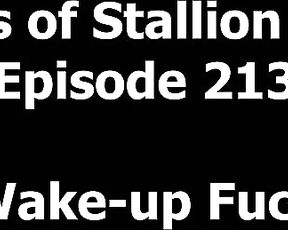 Stallion and Bunny aka stallion_bunny - 03-04-2024 OnlyFans Video - EPISODE 213  WAKE_UP FUCK14082