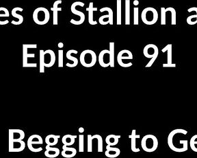 Stallion and Bunny aka stallion_bunny - 08-14-2020 OnlyFans Video - EPISODE 91  BUNNY WAS BEGGING TO GET PUNISHED12552