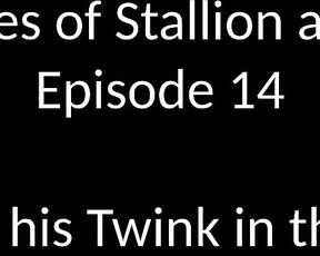 Stallion and Bunny aka stallion_bunny - 11-24-2019 OnlyFans Video - EPISODE 14 _ MASTER AND HIS TWINK IN THE DUNGEON 1106 1080p Stallion took me to