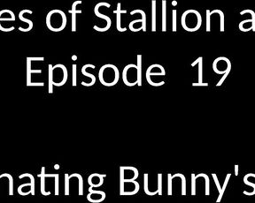 Stallion and Bunny aka stallion_bunny - 11-25-2019 OnlyFans Video - EPISODE 19 _ DOMINATING BUNNYS FACE 919 2