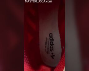 MASTER LUCCA aka masterlucca - 01-02-2021 OnlyFans Video - Enjoy pig